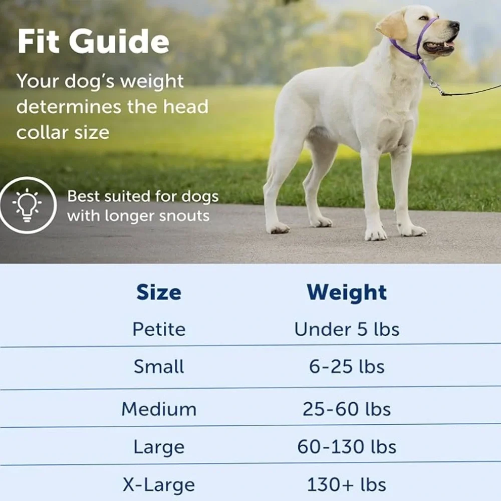 PetSafe Gentle Leader Headcollar No-Pull Dog Collar - Large, Royal Blue